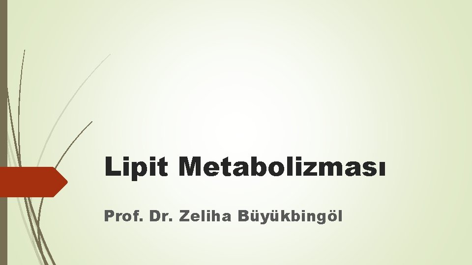 Lipit Metabolizması Prof. Dr. Zeliha Büyükbingöl 