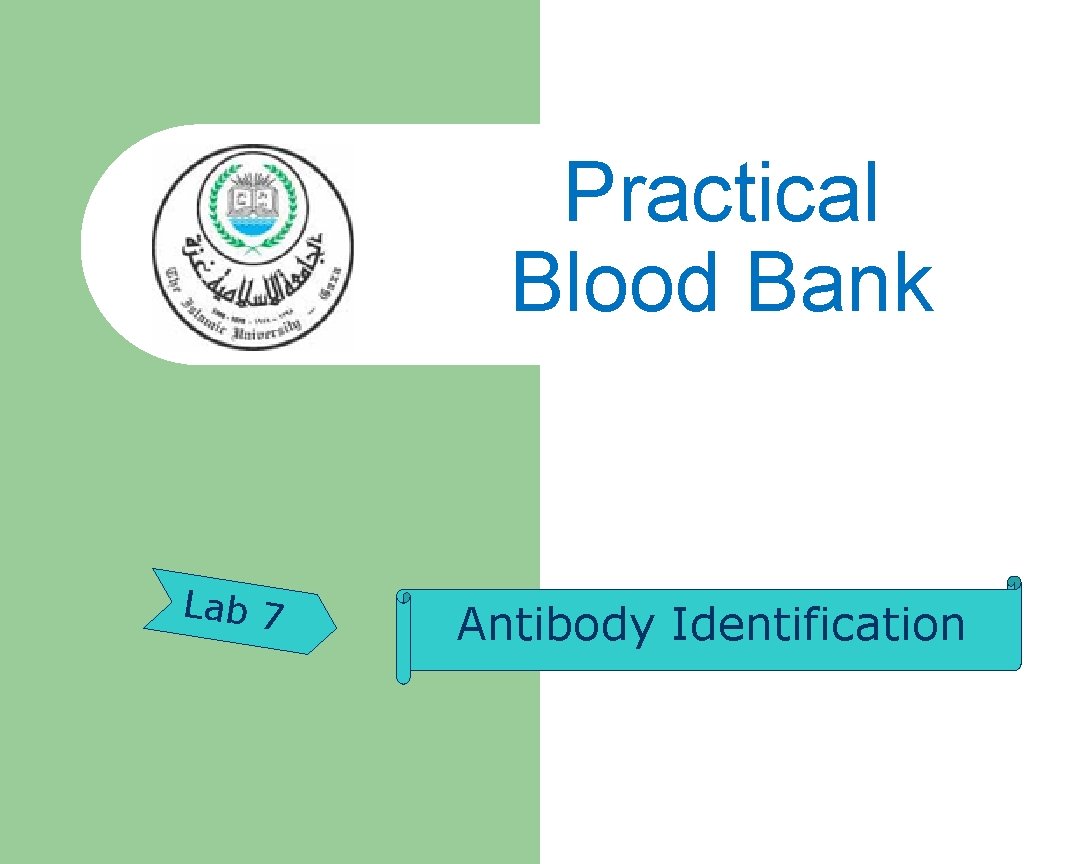 Practical Blood Bank Lab 7 Antibody Identification 