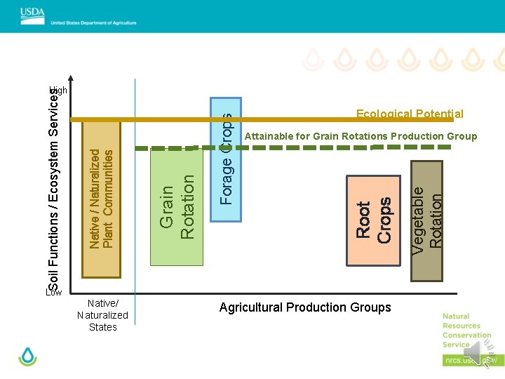 Low Native/ Naturalized States Agricultural Production Groups Vegetable Rotation Root Crops Forage Crops Grain