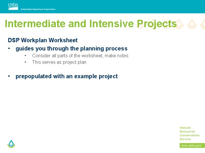 Intermediate and Intensive Projects DSP Workplan Worksheet • guides you through the planning process