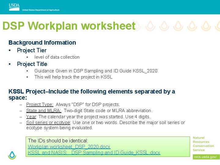 DSP Workplan worksheet Background Information • Project Tier • • level of data collection