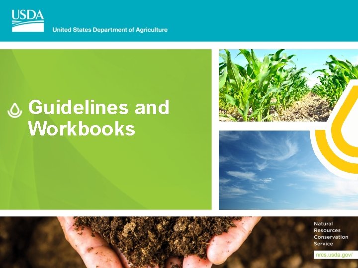 Guidelines and Workbooks 