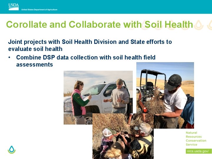 Corollate and Collaborate with Soil Health Joint projects with Soil Health Division and State