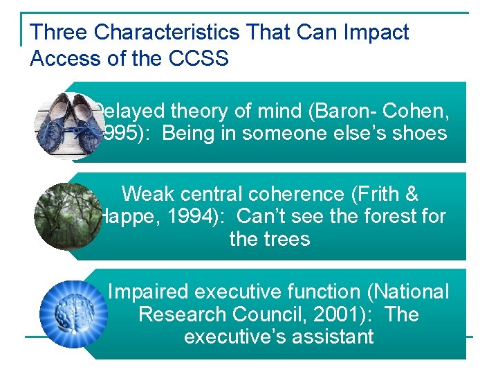 Three Characteristics That Can Impact Access of the CCSS Delayed theory of mind (Baron-