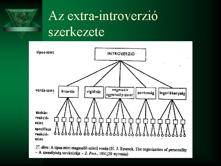 Az extra-introverzió szerkezete 