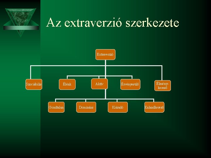 Az extraverzió szerkezete Extraverzió Szociábilis Aktív Élénk Gondtalan Domináns Érvényesülő Kiáradó Élménykereső Kalandkereső 