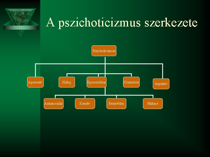 A pszichoticizmus szerkezete Pszichoticizmus Agresszív Hideg Antiszociális Egocentrikus Kreatív Közömbös Részvétlen Impulzív Makacs 