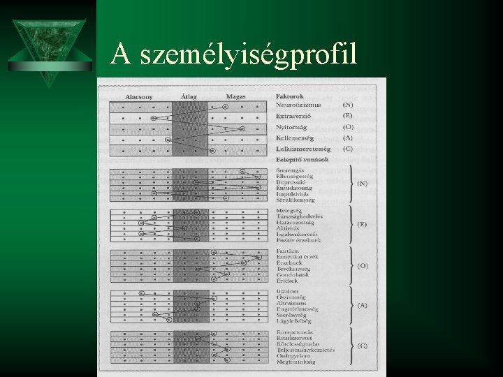 A személyiségprofil 