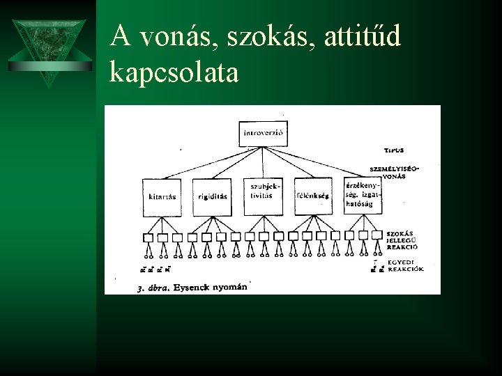 A vonás, szokás, attitűd kapcsolata 