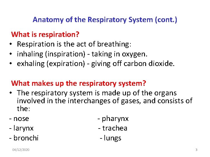 Anatomy of the Respiratory System (cont. ) What is respiration? • Respiration is the