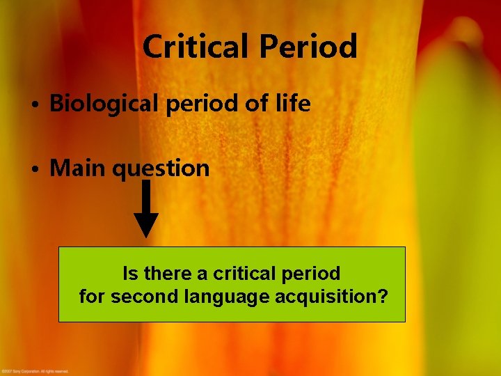 Critical Period • Biological period of life • Main question Is there a critical