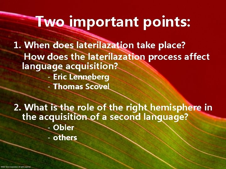 Two important points: 1. When does laterilazation take place? How does the laterilazation process