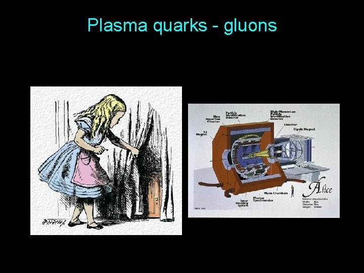 Plasma quarks - gluons 49 