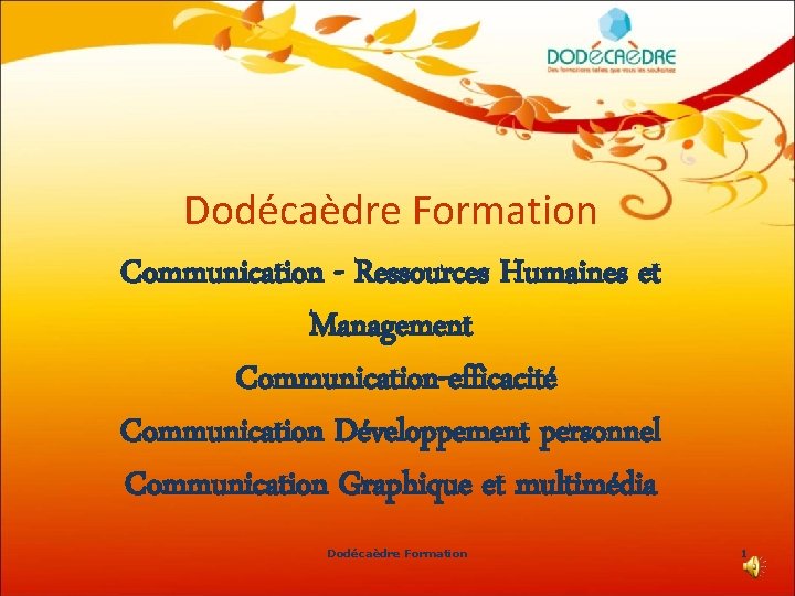 Dodécaèdre Formation Communication - Ressources Humaines et Management Communication-efficacité Communication Développement personnel Communication Graphique