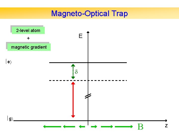 Magneto-Optical Trap 2 -level atom E + magnetic gradient e g B z 