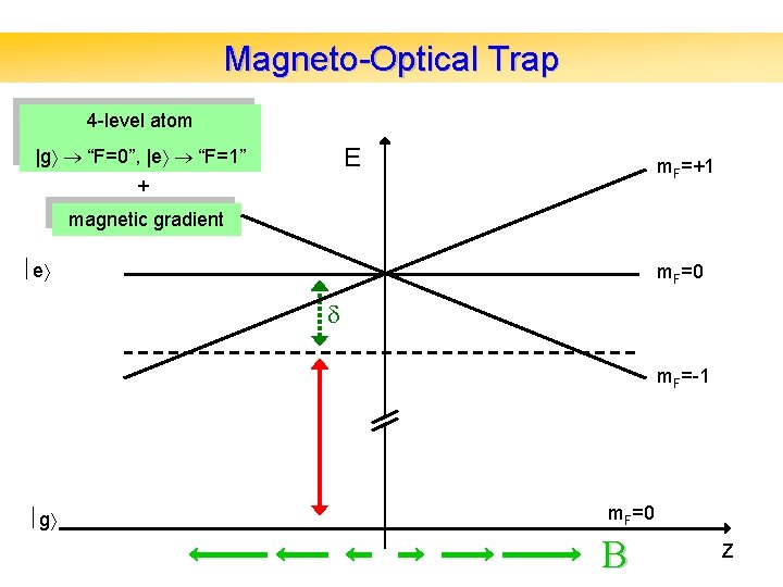 Magneto-Optical Trap 4 -level atom E |g “F=0”, |e “F=1” m. F=+1 + magnetic