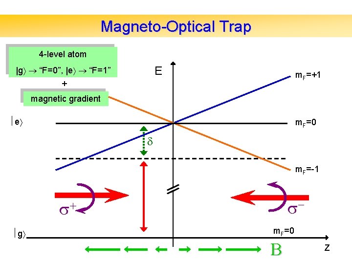 Magneto-Optical Trap 4 -level atom E |g “F=0”, |e “F=1” m. F=+1 + magnetic