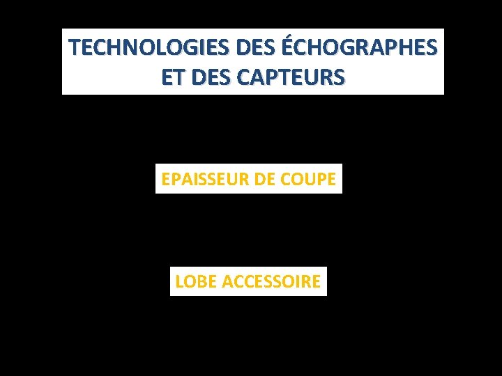 TECHNOLOGIES DES ÉCHOGRAPHES ET DES CAPTEURS EPAISSEUR DE COUPE LOBE ACCESSOIRE 