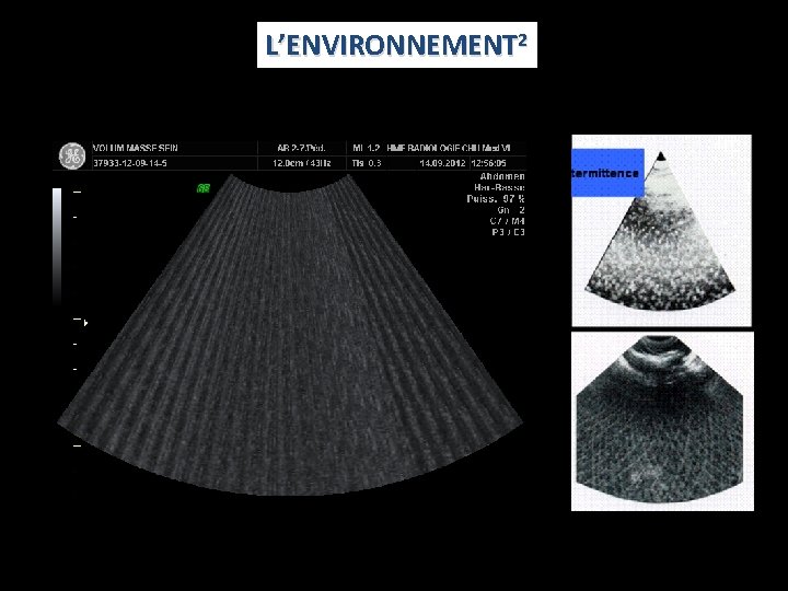 L’ENVIRONNEMENT 2 