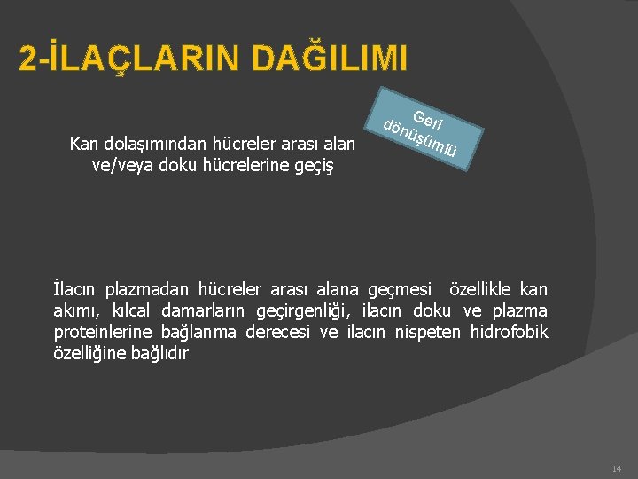 2 -İLAÇLARIN DAĞILIMI Kan dolaşımından hücreler arası alan ve/veya doku hücrelerine geçiş G dön