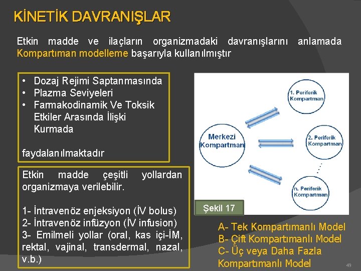 KİNETİK DAVRANIŞLAR Etkin madde ve ilaçların organizmadaki davranışlarını anlamada Kompartıman modelleme başarıyla kullanılmıştır •