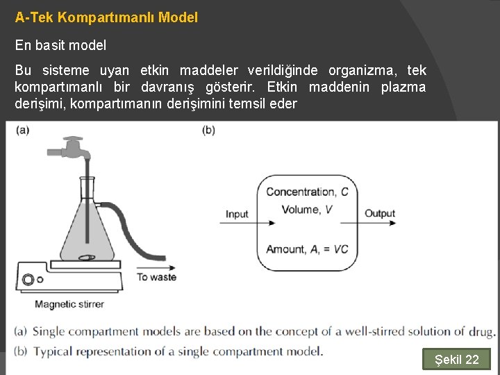 A-Tek Kompartımanlı Model En basit model Bu sisteme uyan etkin maddeler verildiğinde organizma, tek