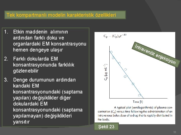 Tek kompartmanlı modelin karakteristik özellikleri 1. Etkin maddenin alımının ardından farklı doku ve organlardaki