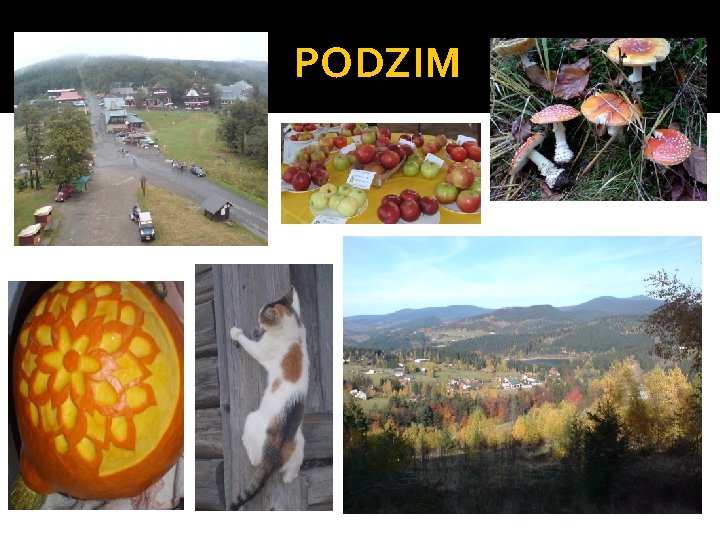 PODZIM 