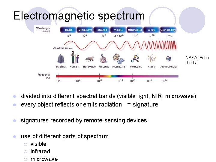 Electromagnetic spectrum NASA: Echo the bat divided into different spectral bands (visible light, NIR,