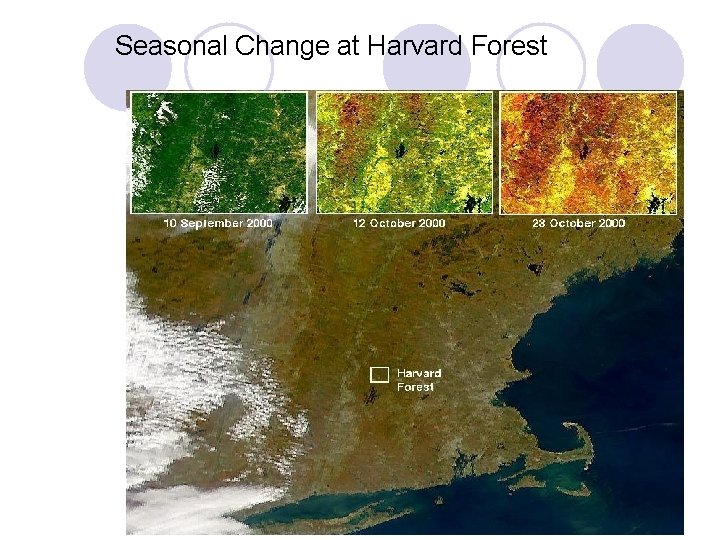 Seasonal Change at Harvard Forest 