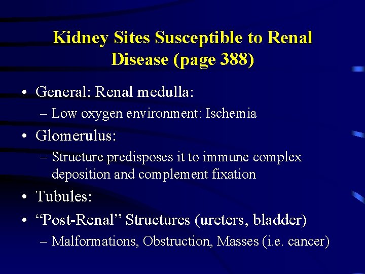 Kidney Sites Susceptible to Renal Disease (page 388) • General: Renal medulla: – Low