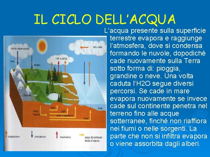 IL CICLO DELL’ACQUA L’acqua presente sulla superficie terrestre evapora e raggiunge l’atmosfera, dove si