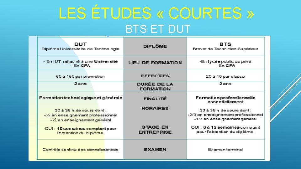 LES ÉTUDES « COURTES » BTS ET DUT 
