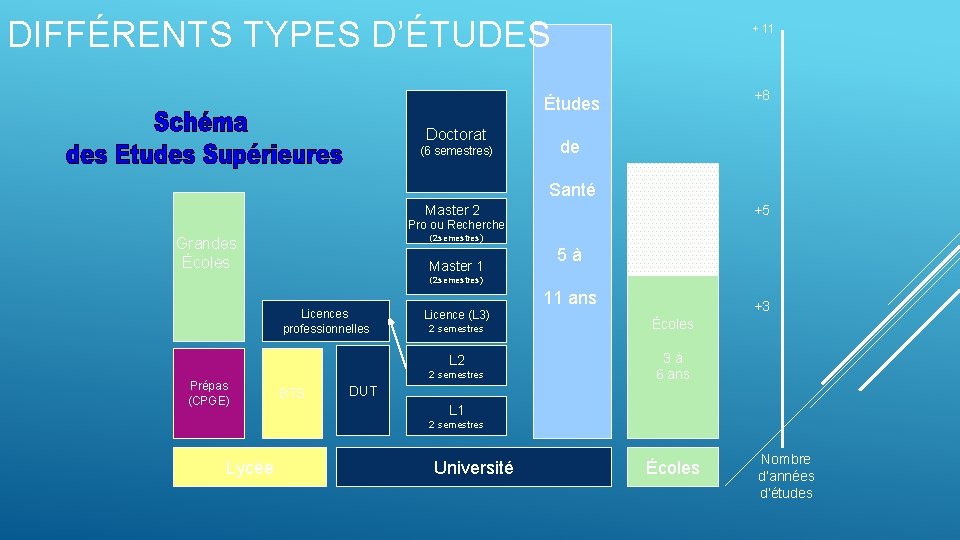 DIFFÉRENTS TYPES D’ÉTUDES + 11 (6 semestres) Études de Master 2 Santé Doctorat Pro