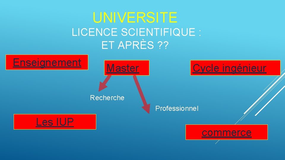 UNIVERSITE LICENCE SCIENTIFIQUE : ET APRÈS ? ? Enseignement Master Cycle ingénieur Recherche Professionnel