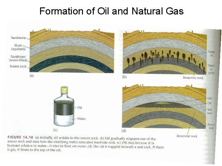 Formation of Oil and Natural Gas 