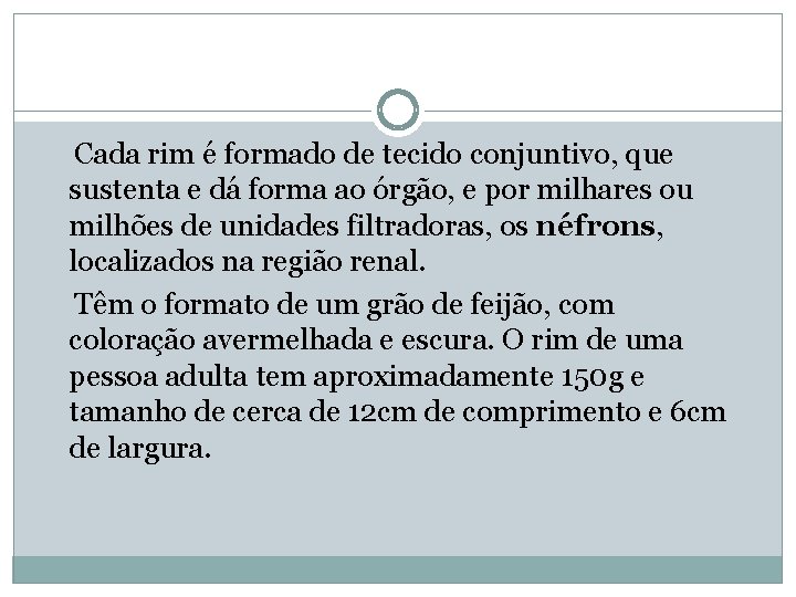  Cada rim é formado de tecido conjuntivo, que sustenta e dá forma ao