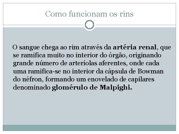 Como funcionam os rins O sangue chega ao rim através da artéria renal, que