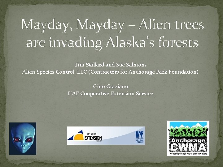 Mayday, Mayday – Alien trees are invading Alaska’s forests Tim Stallard and Sue Salmons