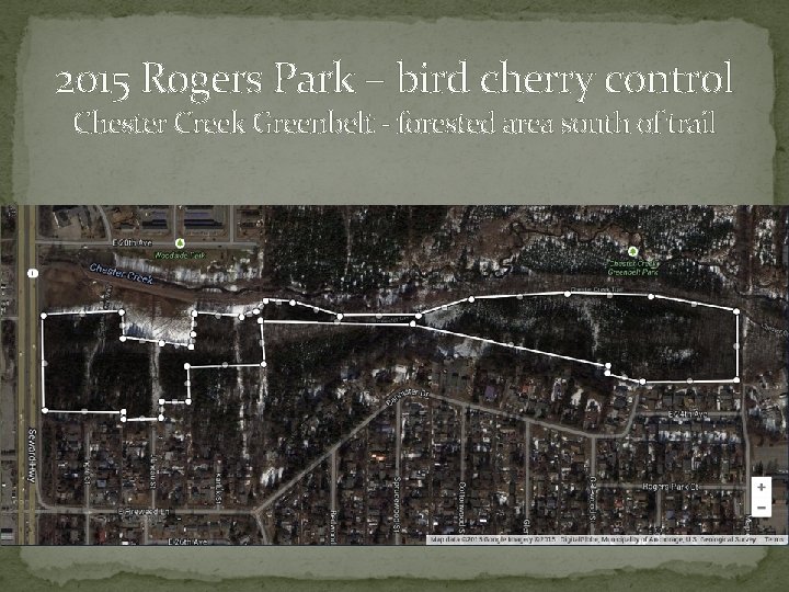 2015 Rogers Park – bird cherry control Chester Creek Greenbelt - forested area south