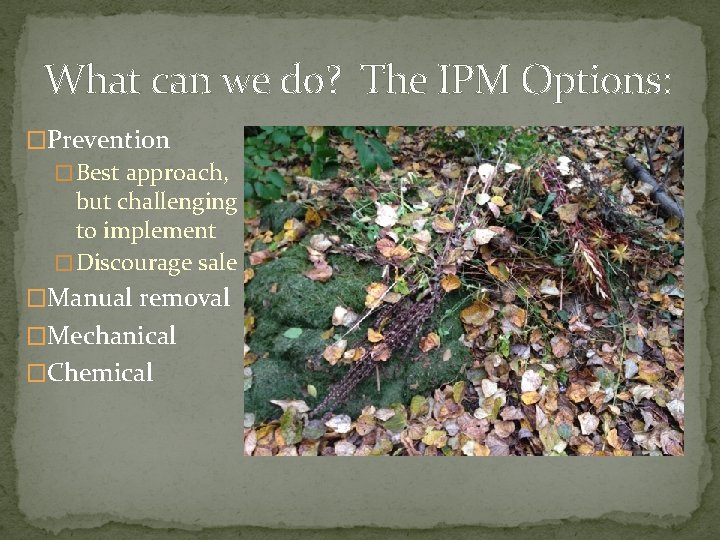 What can we do? The IPM Options: �Prevention � Best approach, but challenging to