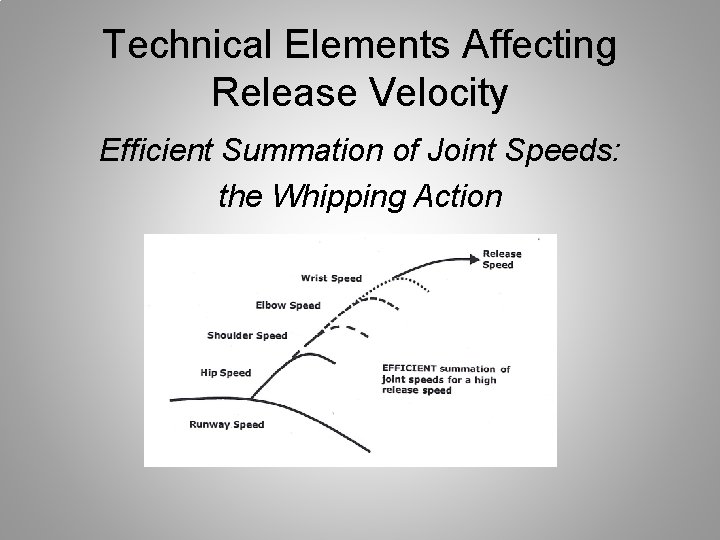 Technical Elements Affecting Release Velocity Efficient Summation of Joint Speeds: the Whipping Action 