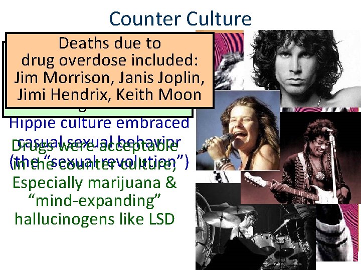 Counter Culture Counter culture Deaths due to Harvard professor in the 1960 s was