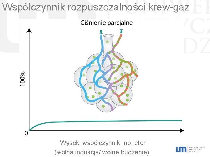 Współczynnik rozpuszczalności krew-gaz Wysoki współczynnik, np. eter (wolna indukcja/ wolne budzenie). 