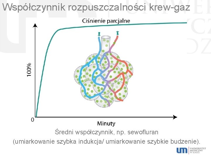 Współczynnik rozpuszczalności krew-gaz Średni współczynnik, np. sewofluran (umiarkowanie szybka indukcja/ umiarkowanie szybkie budzenie). 