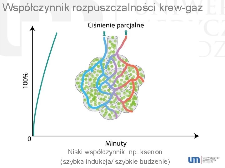 Współczynnik rozpuszczalności krew-gaz Niski współczynnik, np. ksenon (szybka indukcja/ szybkie budzenie) 