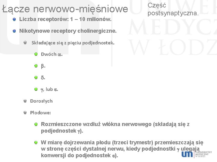 Łącze nerwowo-mięśniowe Liczba receptorów: 1 – 10 milionów. Część postsynaptyczna. Nikotynowe receptory cholinergiczne. Składające