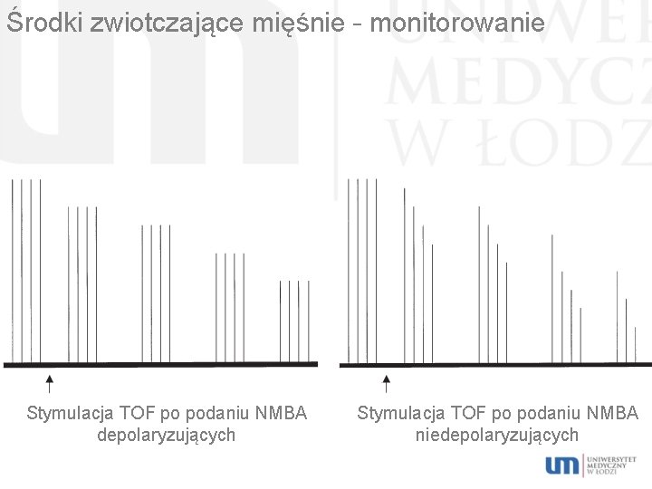 Środki zwiotczające mięśnie – monitorowanie Stymulacja TOF po podaniu NMBA depolaryzujących Stymulacja TOF po