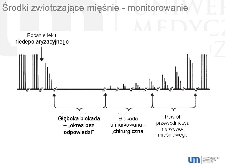 Środki zwiotczające mięśnie – monitorowanie Podanie leku niedepolaryzacyjnego Głęboka blokada – „okres bez odpowiedzi”