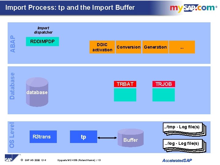 Import Process: tp and the Import Buffer ABAP Import dispatcher Database RDDIMPDP DDIC activation